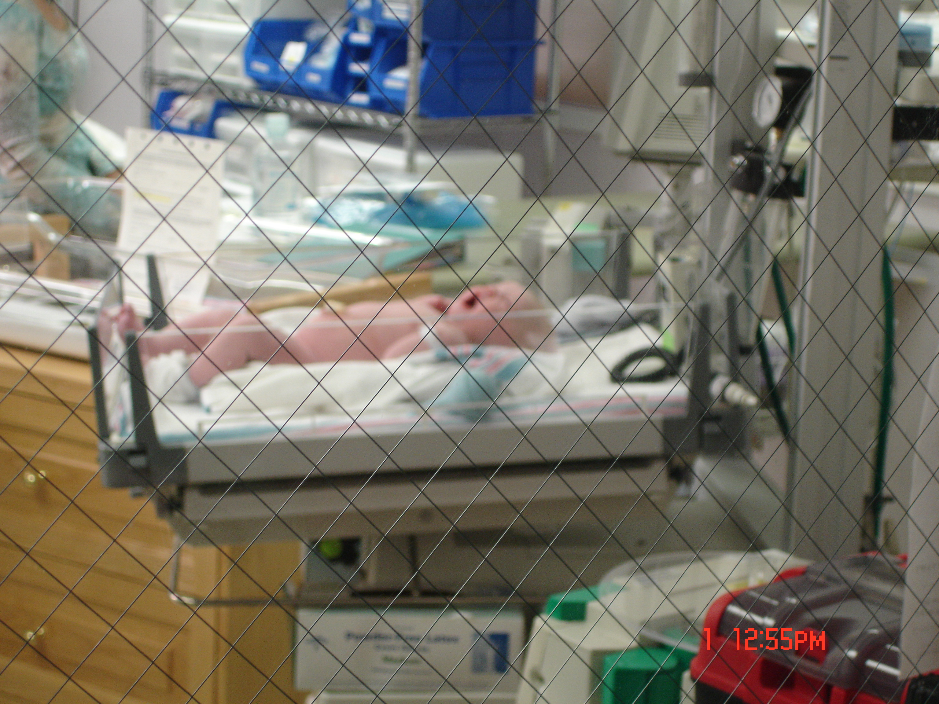 DSC06482