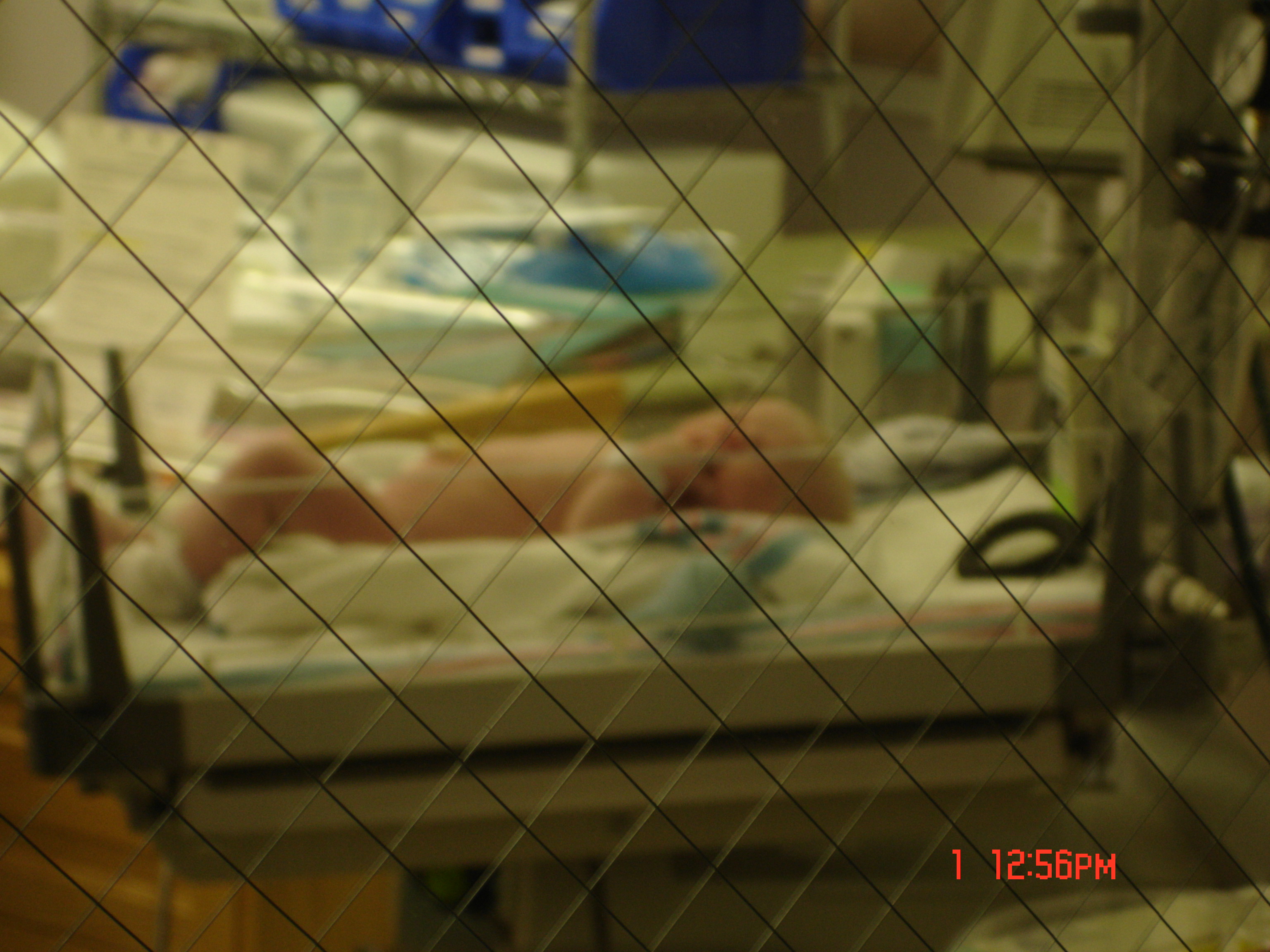 DSC06483